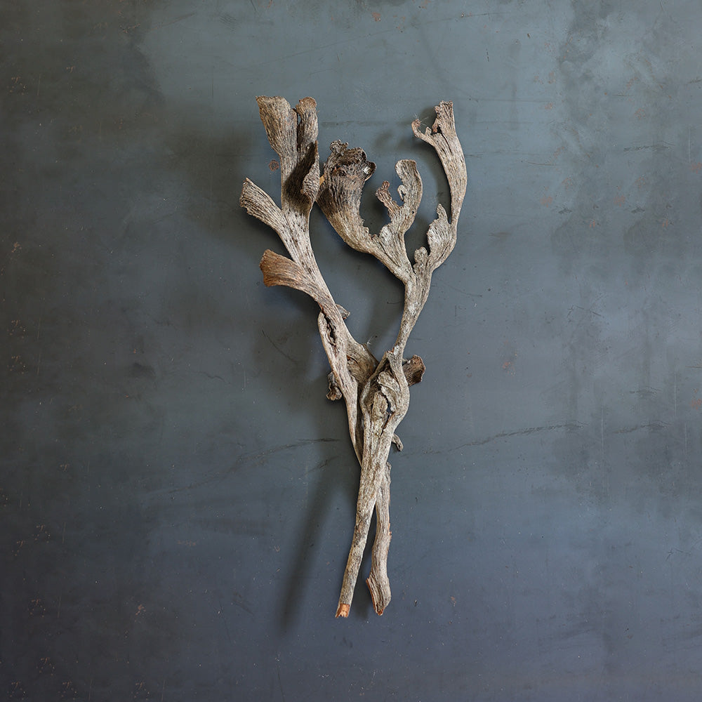 アーネストハーツ　earnest hearts croco muso アーネストハーツ earnest hearts croco muso アーネストハーツ