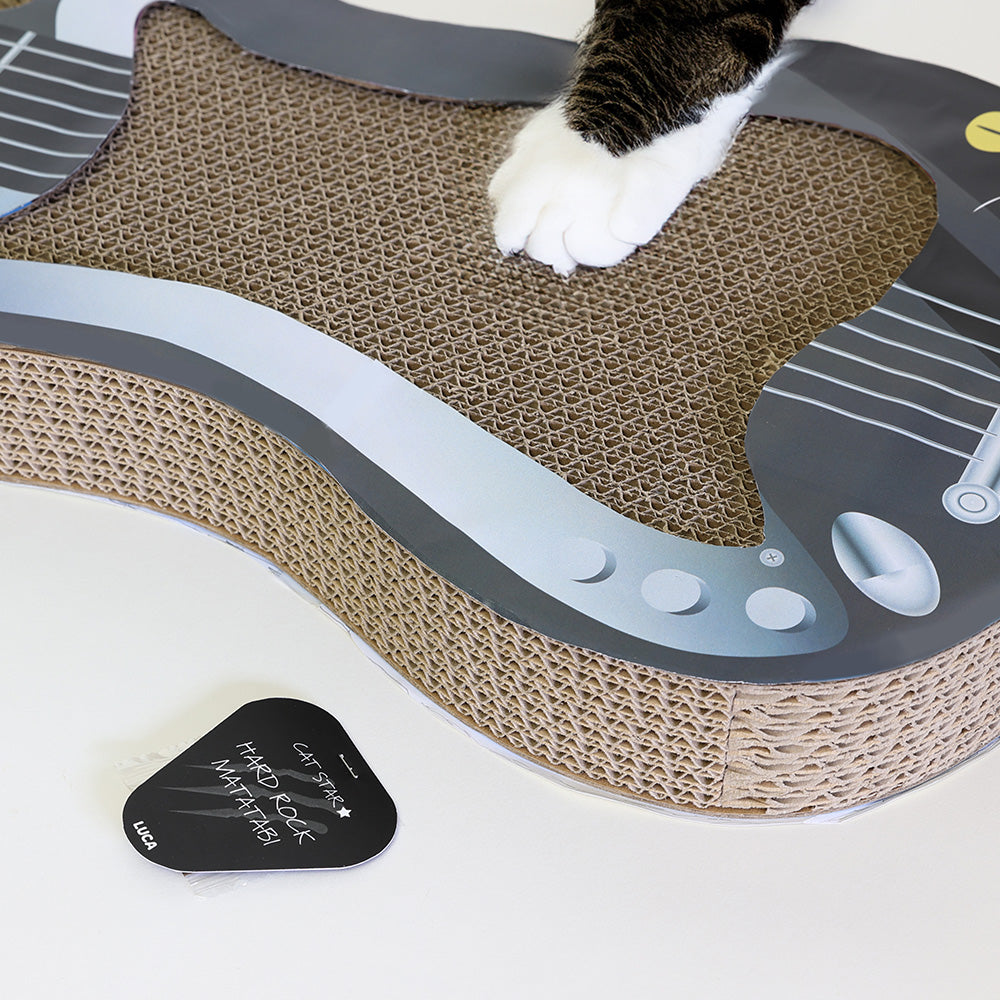 オーダー受付　猫　スター　6/10 オーダー受付 猫 スター 6/10