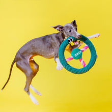 画像をギャラリービューアに読み込む, 丈夫なハンドル型ロープの犬猫用おもちゃ DOG HANDLE（ドッグハンドル）
