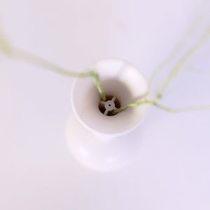 ボールペンであり、一輪挿しでもある doodoo VASE Desk Pen