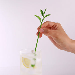 植物標本のようなマドラー doodoo LEAF Muddler（3本入）