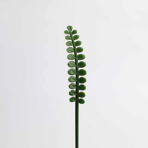 植物標本のようなマドラー doodoo LEAF Muddler（3本入）