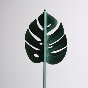 モンステラの葉をかたどったスクイージー doodoo MONSTERA Squeegee