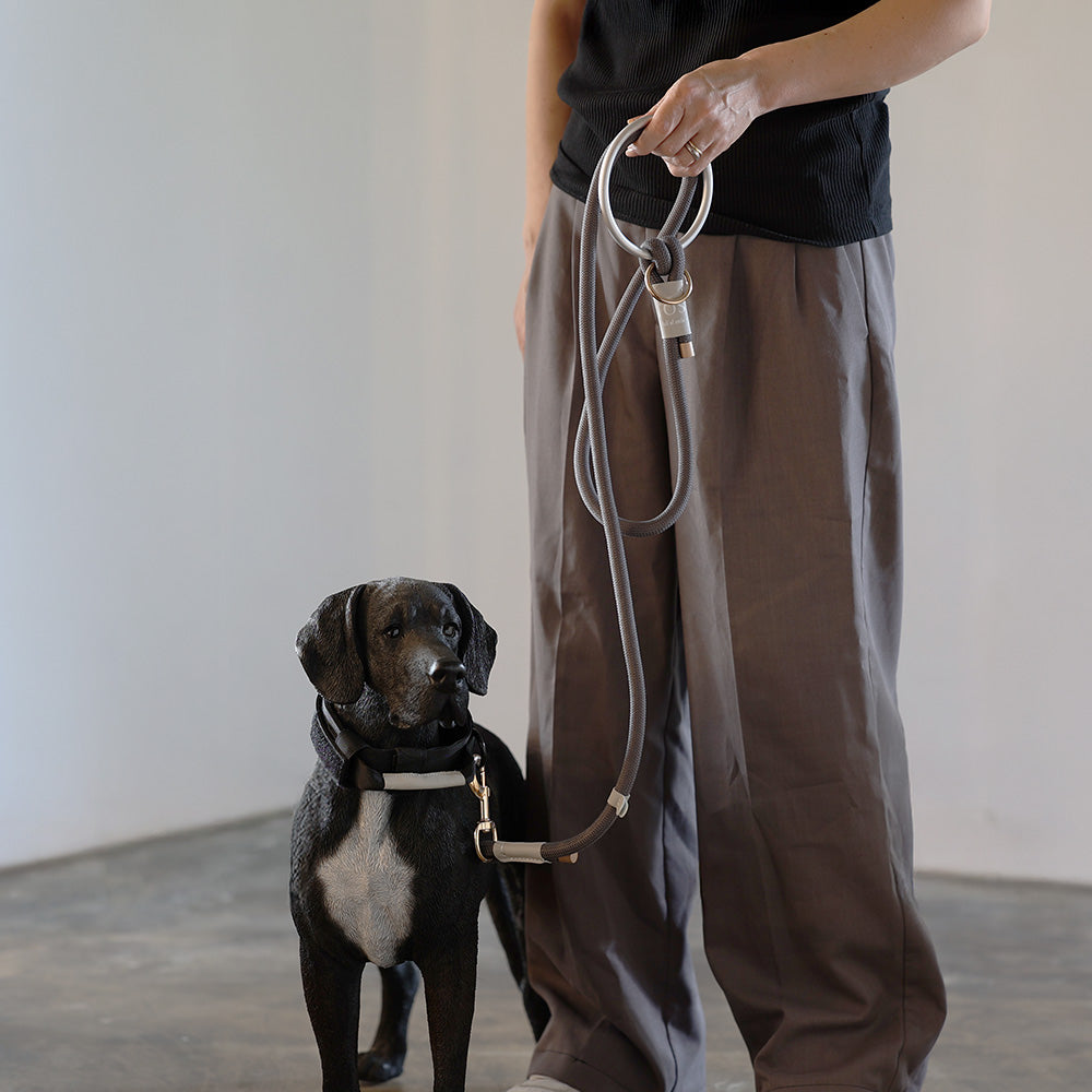 ファッション性も重視したエレガントデザインのリード Eric Reel（エリックリール）