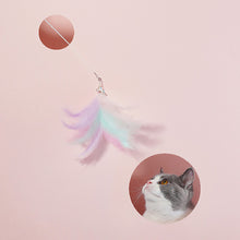 画像をギャラリービューアに読み込む, 猫のキャッチ力を刺激する猫じゃらし Feather Cat Playing Rod
