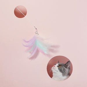 猫のキャッチ力を刺激する猫じゃらし Feather Cat Playing Rod