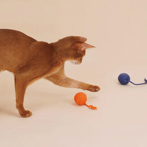 壁やドアノブに掛けられるペット用おもちゃ FUNNY SISAL ROPE BALLS