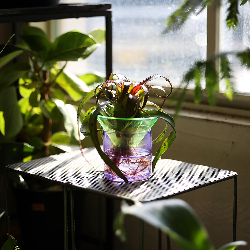 上下セパレート構造 ネオンカラーのガラス製フラワーベース GLOW GROW