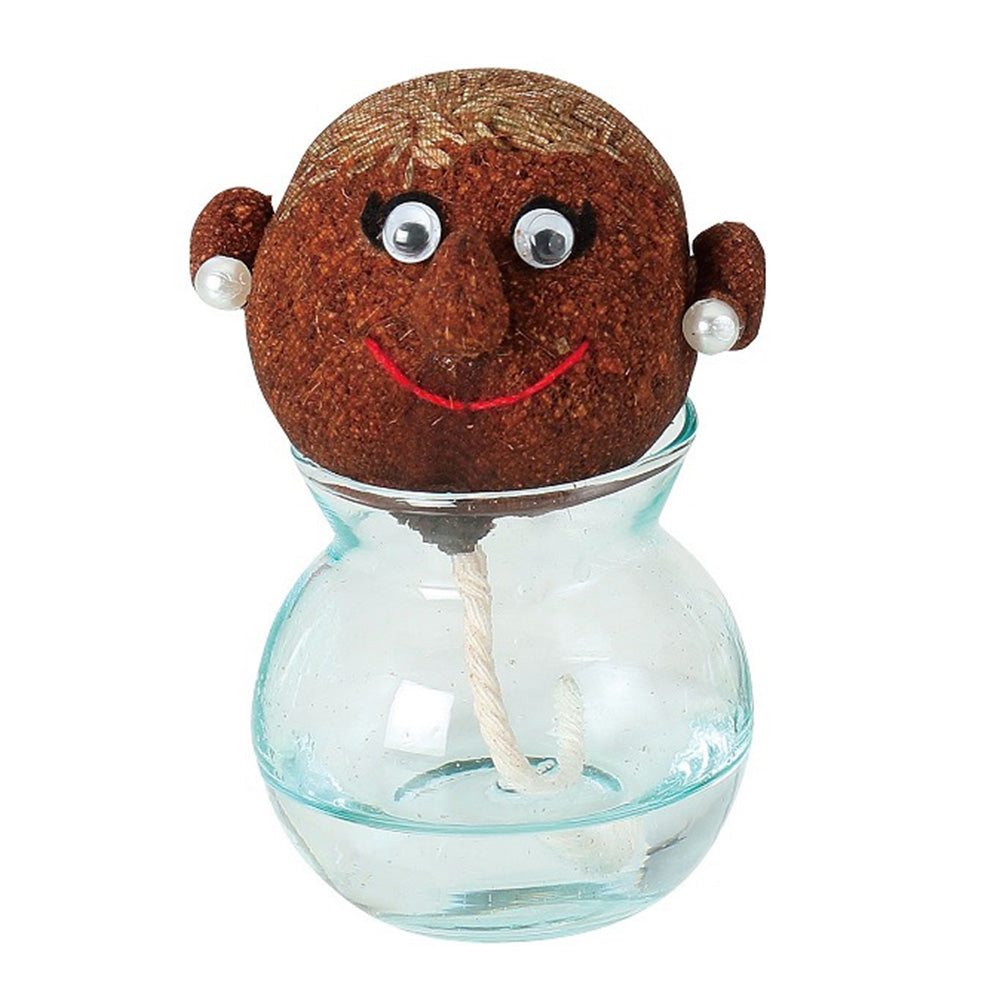 頭から髪の毛のように芝生が生える栽培キット hair LABO（ヘアラボ）