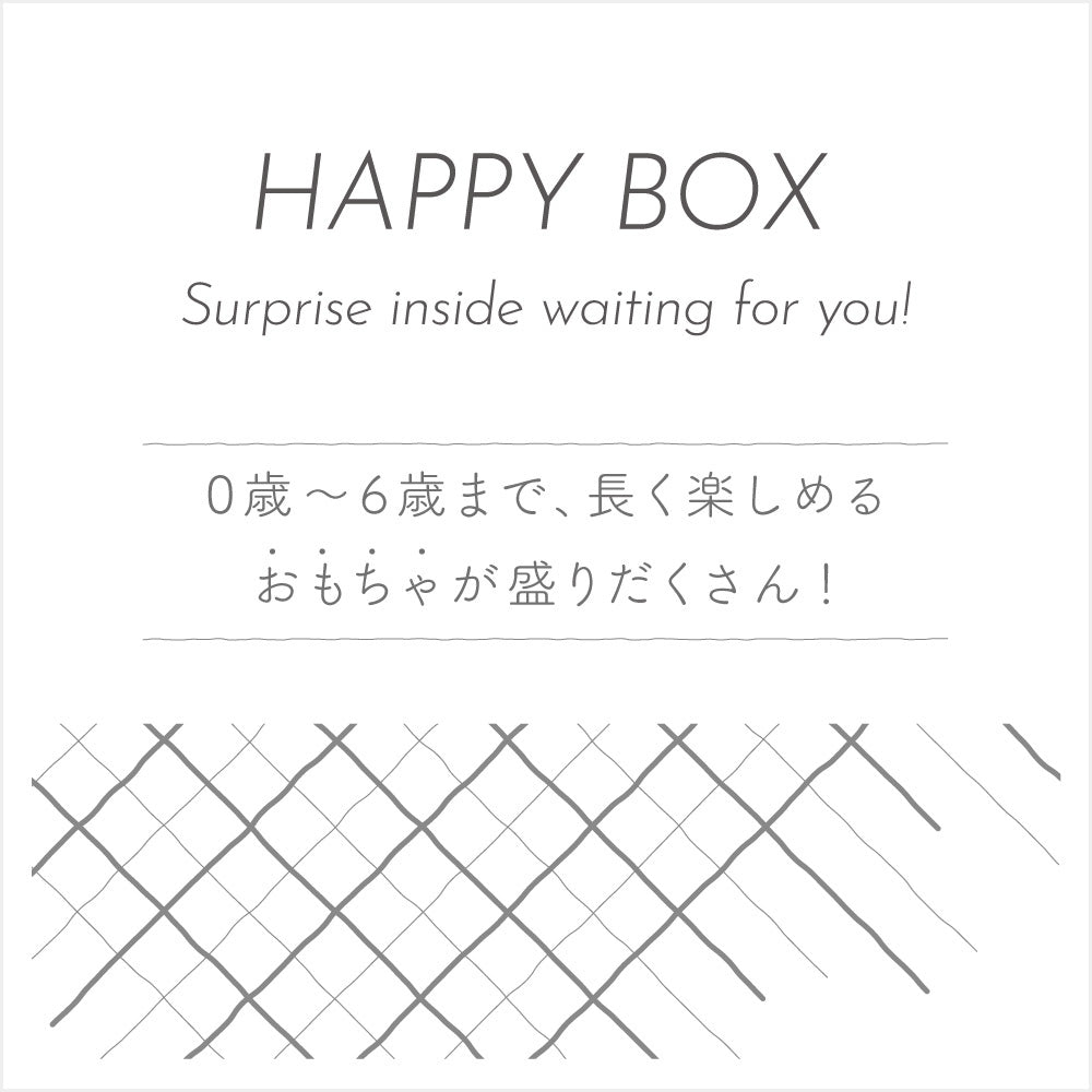 【おもちゃの福袋】16,500円相当！0～6歳までのおもちゃがたくさん詰まった HAPPY BOX（ハッピーボックス）