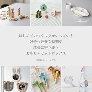 0～6歳までのおもちゃがたくさん詰まった福袋 HAPPY BOX（ハッピーボックス）