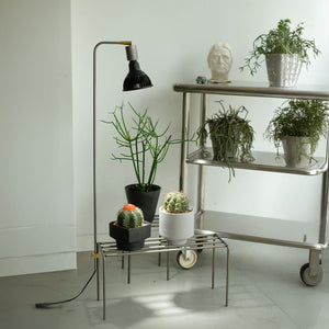 KNOP PLANT STANDS WIDE専用のアジャストランプ KNOP ADJUST LAMP（ノップ アジャスト ランプ）