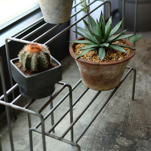 植物を引き立てるワイドタイプのプランタースタンド KNOP plant stands WIDE（ノップ プラントスタンド ワイド）