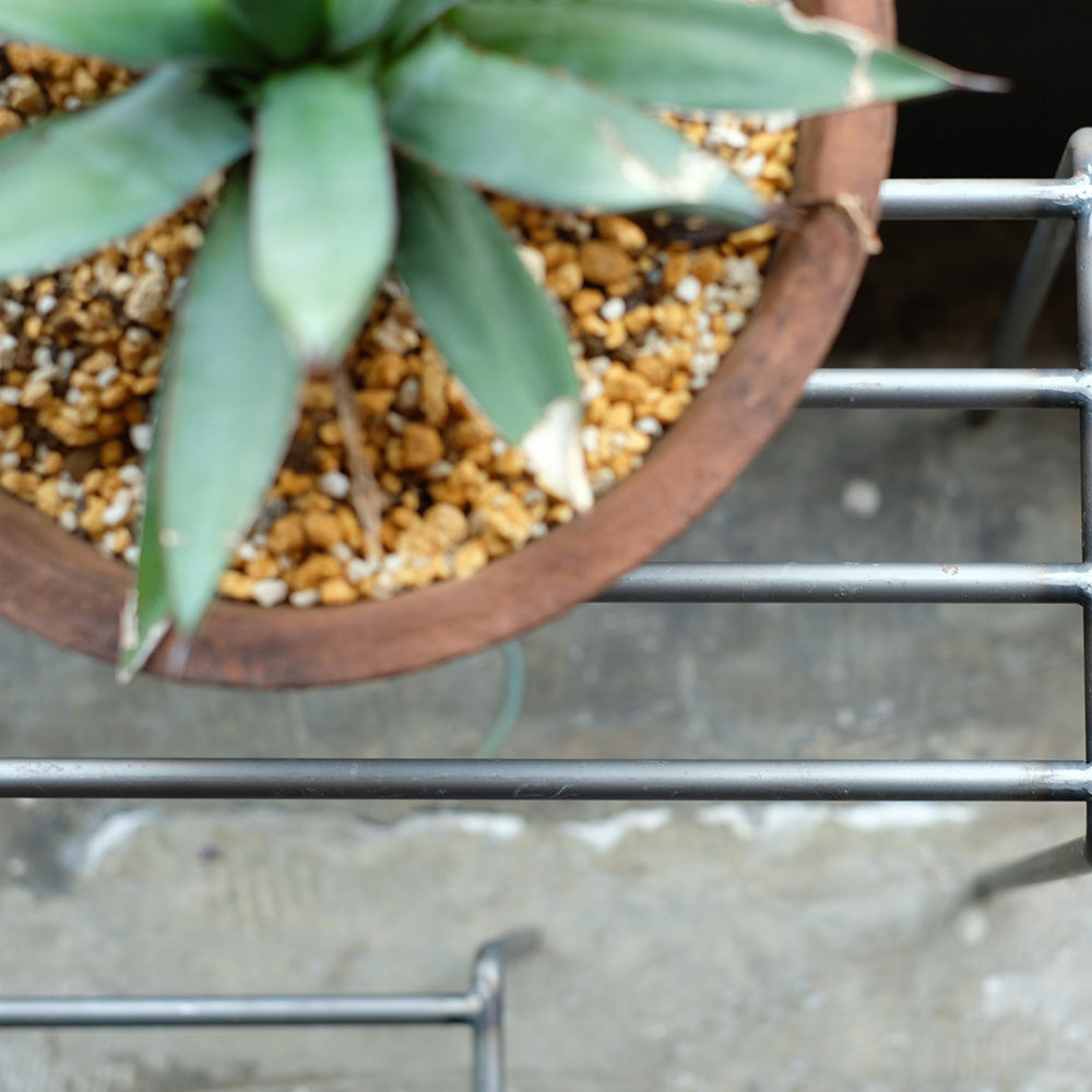 植物を引き立てるワイドタイプのプランタースタンド KNOP plant stands