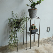 画像をギャラリービューアに読み込む, 植物を引き立てるプランタースタンド KNOP plant stands（ノップ プラントスタンド）
