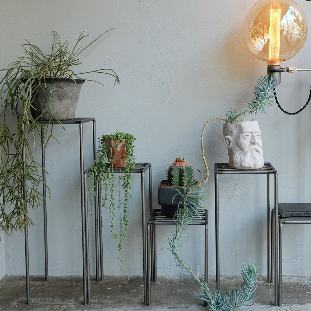 植物を引き立てるプランタースタンド KNOP plant stands（ノップ