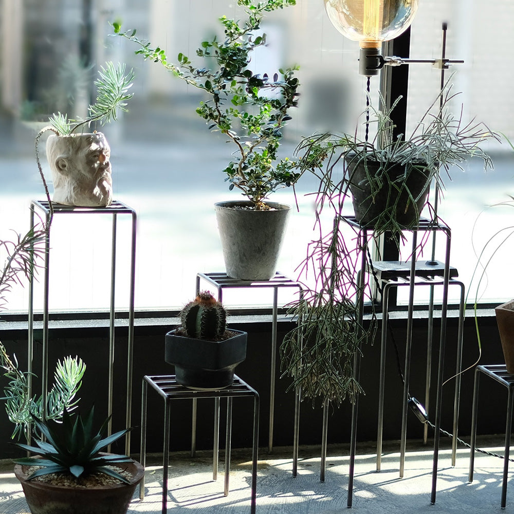 植物を引き立てるプランタースタンド KNOP plant stands（ノップ