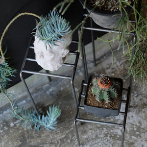 植物を引き立てるプランタースタンド KNOP plant stands（ノップ プラントスタンド）