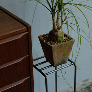 植物を引き立てるプランタースタンド KNOP plant stands（ノップ プラントスタンド）