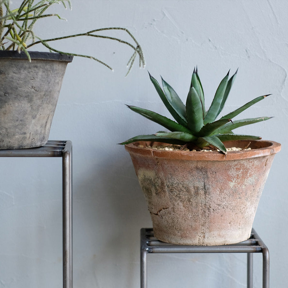 植物を引き立てるプランタースタンド KNOP plant stands（ノップ