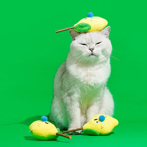 猫が好むマタタビが入ったレモンのおもちゃ LEMON MATATABI TOY