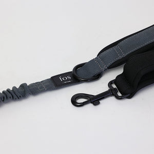 伸縮素材を採用したペットリード Noble Reel（ノーブルリール）