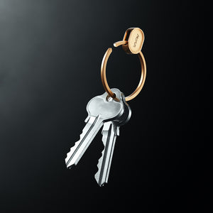 新発想の使い易いキーリング Orbitkey Ring v2（オービットキー・リング）