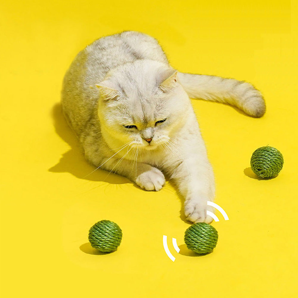 廃盤品 ジェリーキャット Pea in a Pod えんどう豆のさや 廃盤品 ジェリーキャット Pea in a Pod えんどう豆のさや - メルカリ