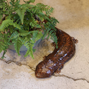 オオサンショウウオのお役立ち貯金箱 PET BANK GIANT SALAMANDER（ペットバンク ジャイアント サラマンダー）
