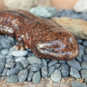 オオサンショウウオのお役立ち貯金箱 PET BANK GIANT SALAMANDER（ペットバンク ジャイアント サラマンダー）