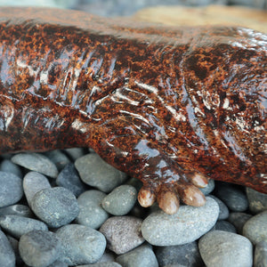 オオサンショウウオのお役立ち貯金箱 PET BANK GIANT SALAMANDER（ペットバンク ジャイアント サラマンダー）