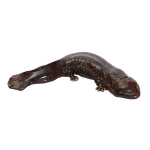 オオサンショウウオのお役立ち貯金箱 PET BANK GIANT SALAMANDER（ペットバンク ジャイアント サラマンダー）
