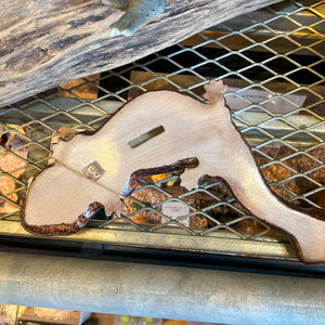 オオサンショウウオのお役立ち貯金箱 PET BANK GIANT SALAMANDER（ペットバンク ジャイアント サラマンダー）