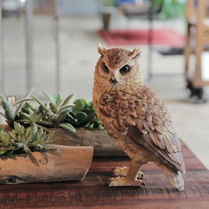 トラフズクのお役立ち貯金箱 PET BANK LONGEARED OWL（ペットバンク ロングイヤード オウル）
