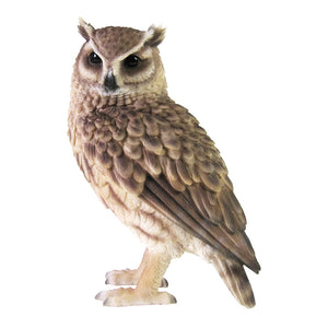 トラフズクのお役立ち貯金箱 PET BANK LONGEARED OWL（ペットバンク ロングイヤード オウル）