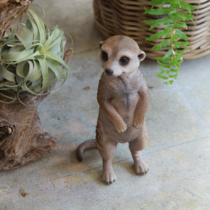 ミーアキャットのお役立ち貯金箱 PET BANK MEERKAT（ペットバンク ミーアキャット）