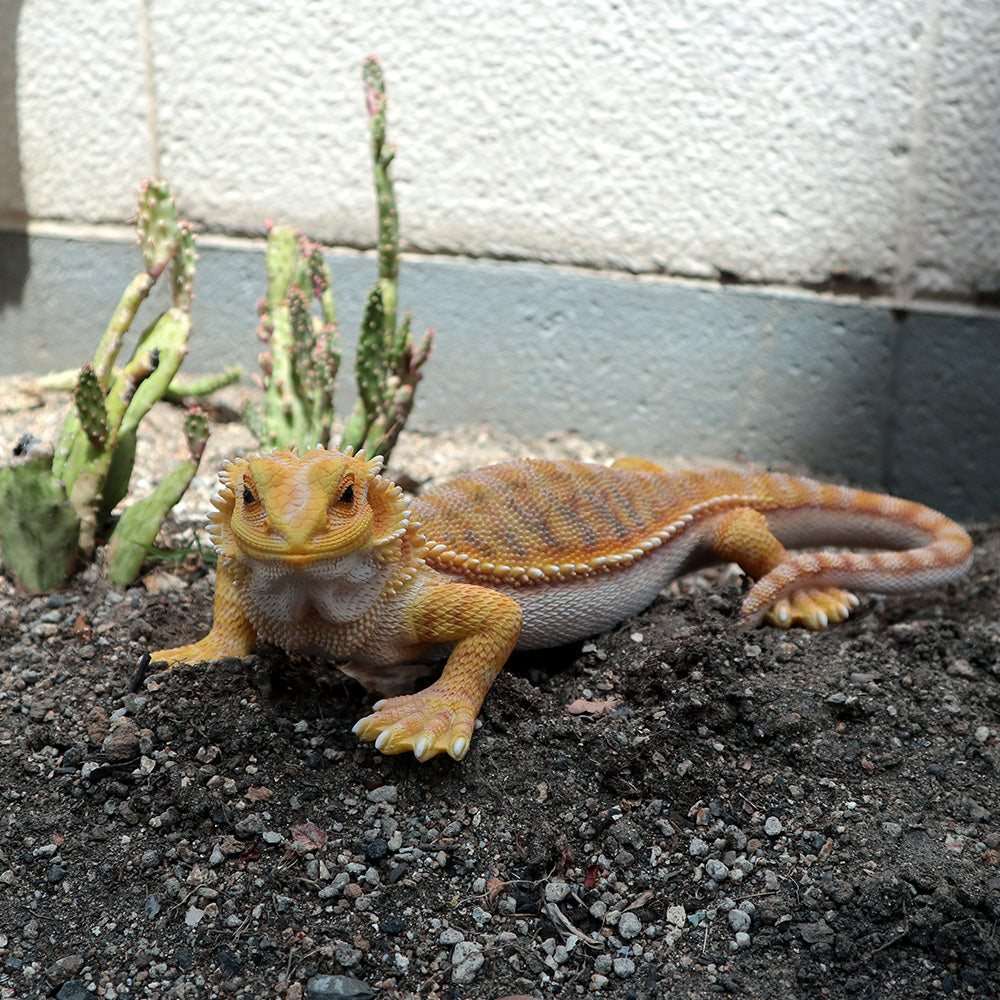 フトアゴヒゲトカゲのお役立ち貯金箱 PET BANK POGONA YELLOW（ペット