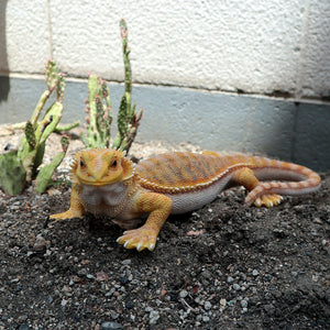 フトアゴヒゲトカゲのお役立ち貯金箱 PET BANK POGONA YELLOW（ペットバンク ポゴナ イエロー）