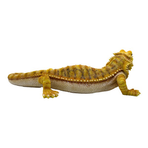 フトアゴヒゲトカゲのお役立ち貯金箱 PET BANK POGONA YELLOW（ペットバンク ポゴナ イエロー）