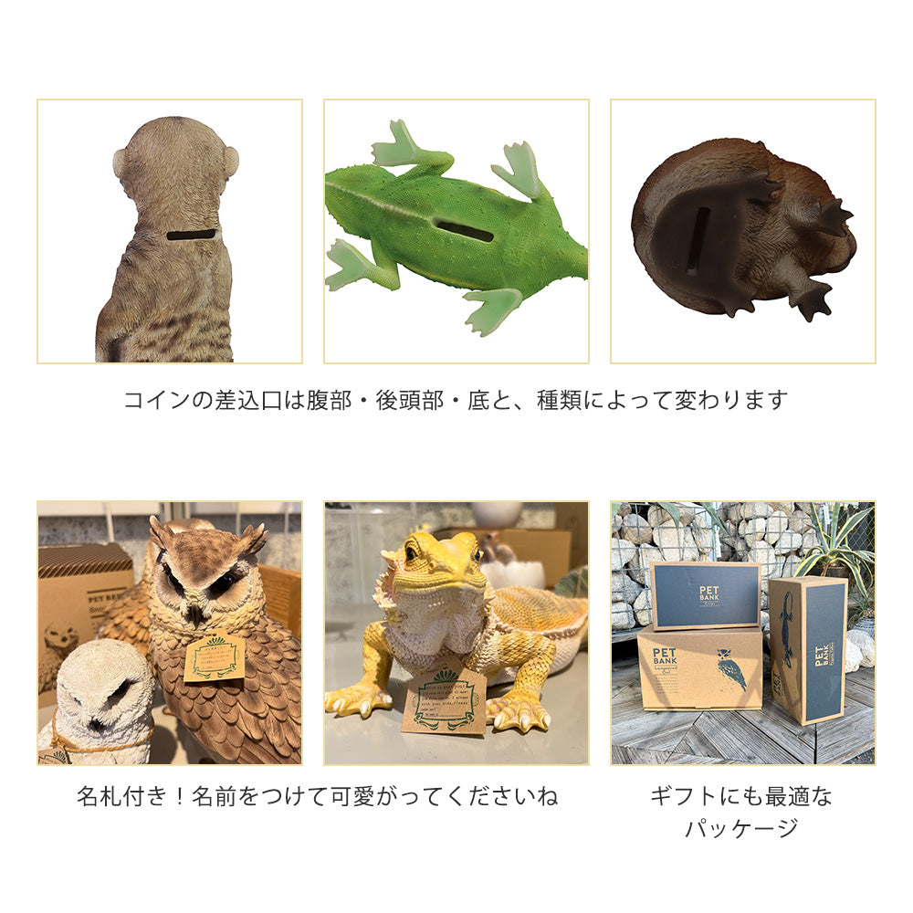 フトアゴヒゲトカゲのお役立ち貯金箱 PET BANK POGONA YELLOW（ペット