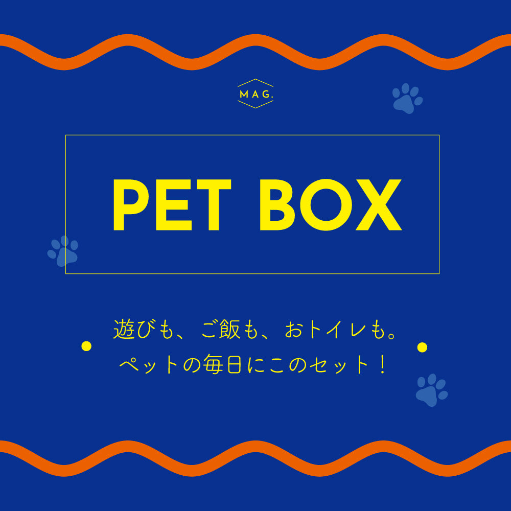 お得な3点セットのペット用福袋 PET BOX（ペットボックス）