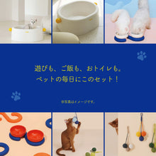 画像をギャラリービューアに読み込む, お得な3点セットのペット用福袋 PET BOX（ペットボックス）
