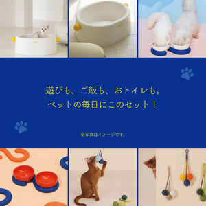 お得な3点セットのペット用福袋 PET BOX（ペットボックス）