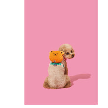 画像をギャラリービューアに読み込む, 可愛さと機能性を兼ね備えた PETHROOM × wiggle wiggle バックパックハーネス

