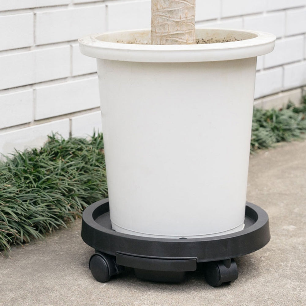 絵付け 鉢 盆栽鉢 植木鉢 「瀬戸焼文山窯絵付鉢4点セット」 絵鉢 絵付鉢 3