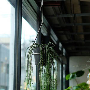 一本の軸で構成されたプラントハンガー PLOP HANGING HOLDER（プロップ ハンギングホルダー）