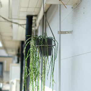一本の軸で構成されたプラントハンガー PLOP HANGING HOLDER（プロップ ハンギングホルダー）