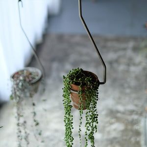 一本の軸で構成されたプラントハンガー PLOP HANGING HOLDER（プロップ ハンギングホルダー）
