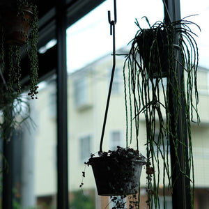 一本の軸で構成されたプラントハンガー PLOP HANGING HOLDER（プロップ ハンギングホルダー）