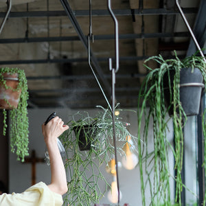 一本の軸で構成されたプラントハンガー PLOP HANGING HOLDER（プロップ ハンギングホルダー）